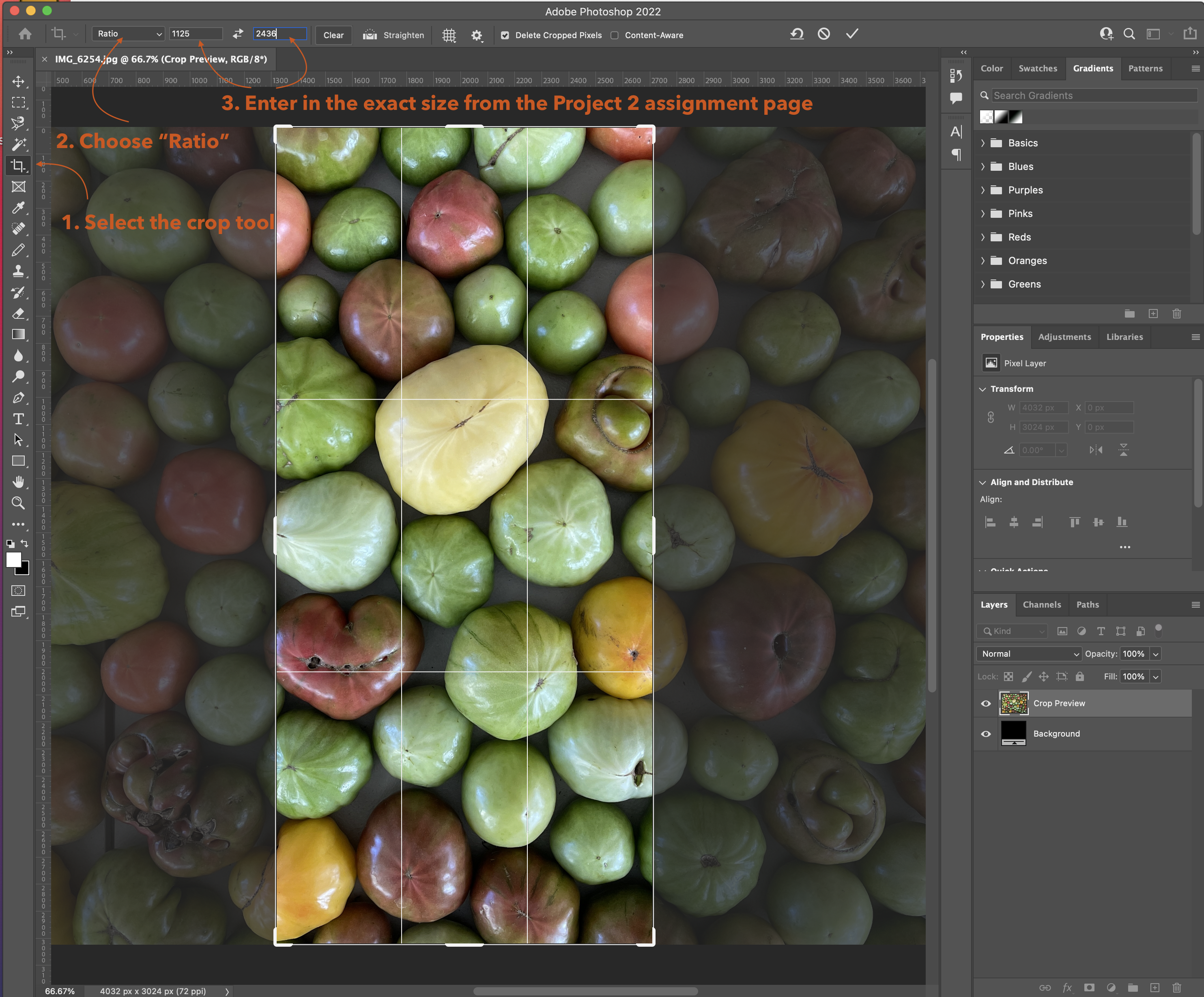 Screenshot of the Photoshop crop tool being used on a photographs of multi-colored large tomatoes.